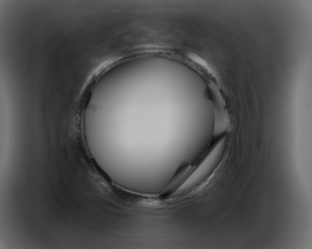 X0000086781357200705041520