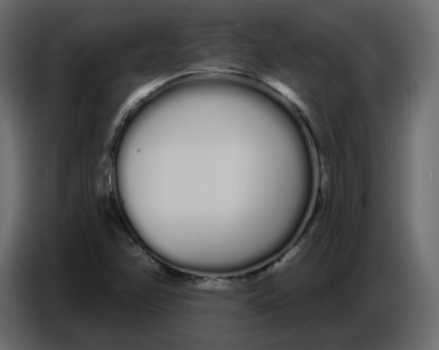 X0000086781358200705041520