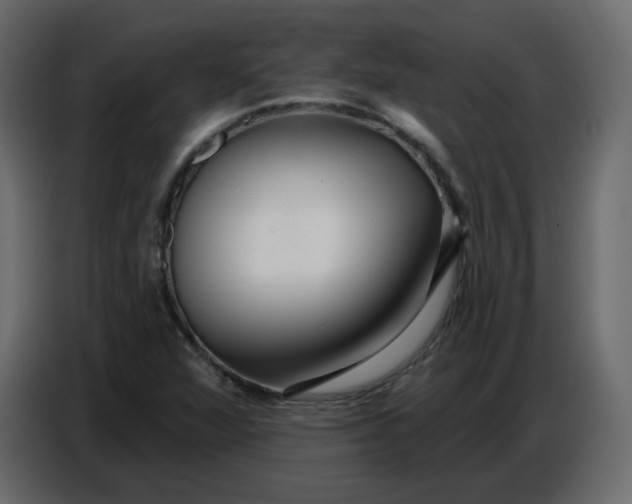 X0000086781360200705041520