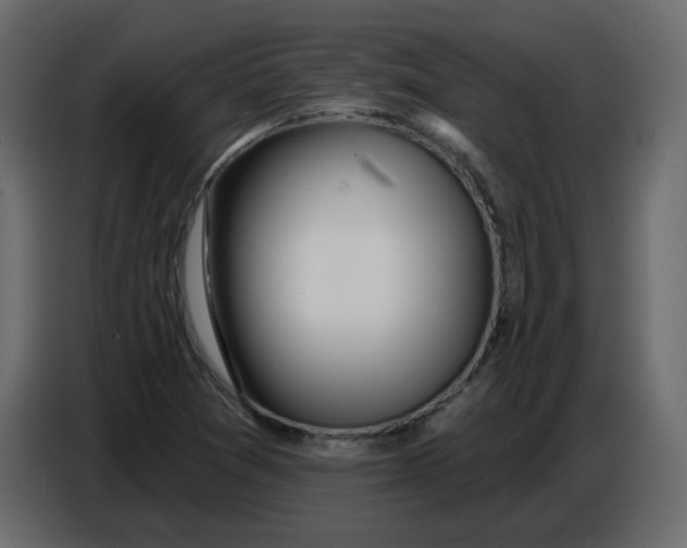 X0000086781361200705041520