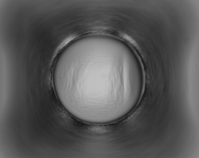 X0000086781362200705041520