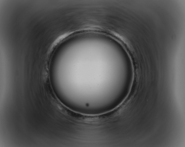 X0000086781363200705041520