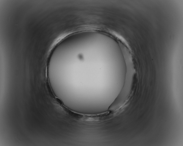 X0000086781365200705041520