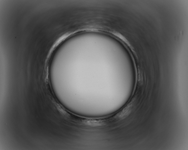 X0000086781366200705041520