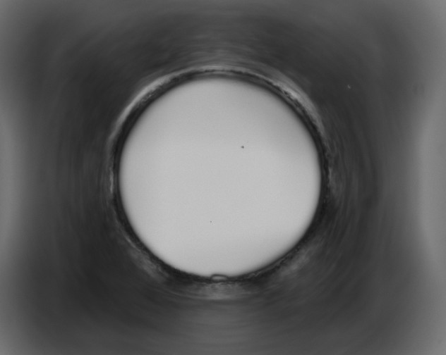 X0000086781368200705041520