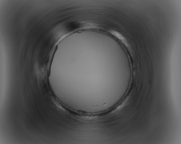 X0000086781369200705041519