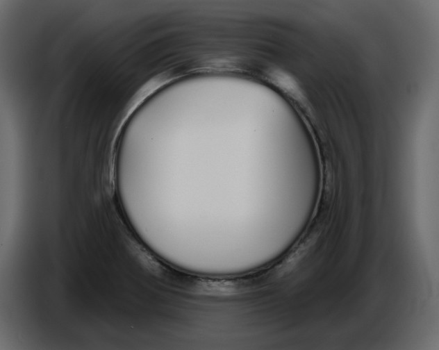 X0000086781370200705041519