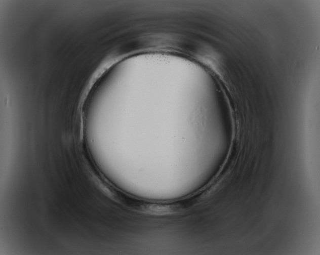 X0000086781371200705041519