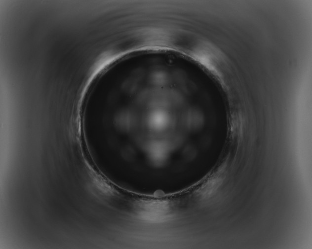 X0000086781372200705041519