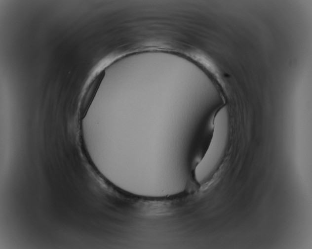 X0000086781373200705041519