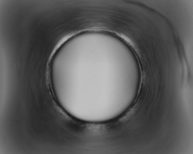 X0000086781374200705041519