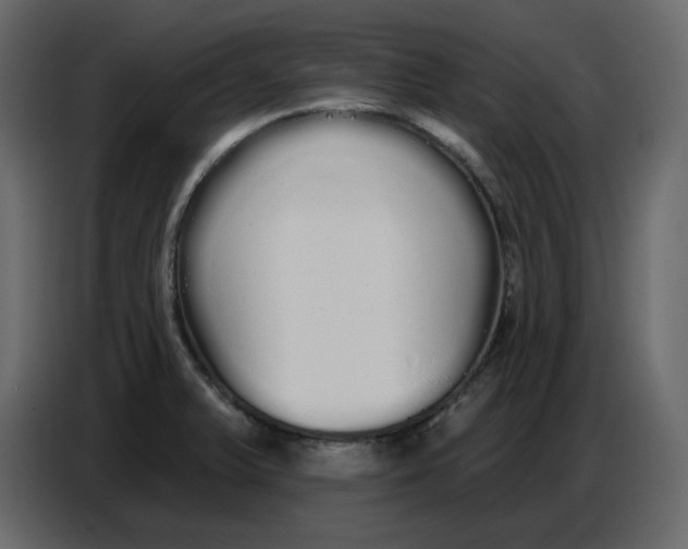 X0000086781375200705041519