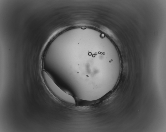 X0000086781376200705041519