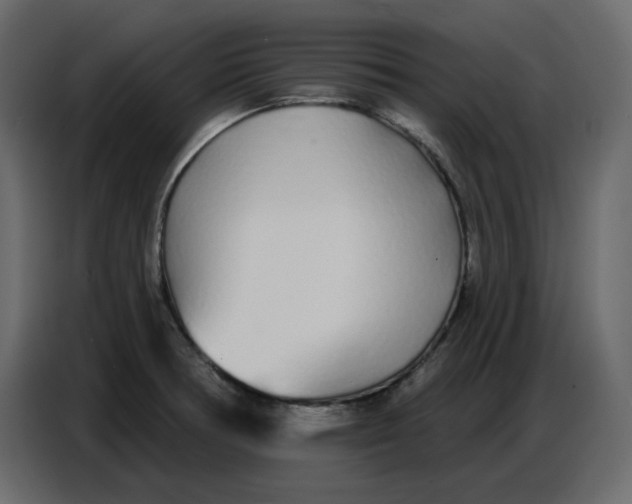 X0000086781378200705041519