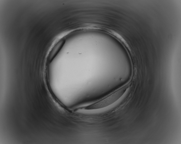 X0000086781379200705041519