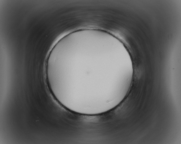 X0000086781382200705041519