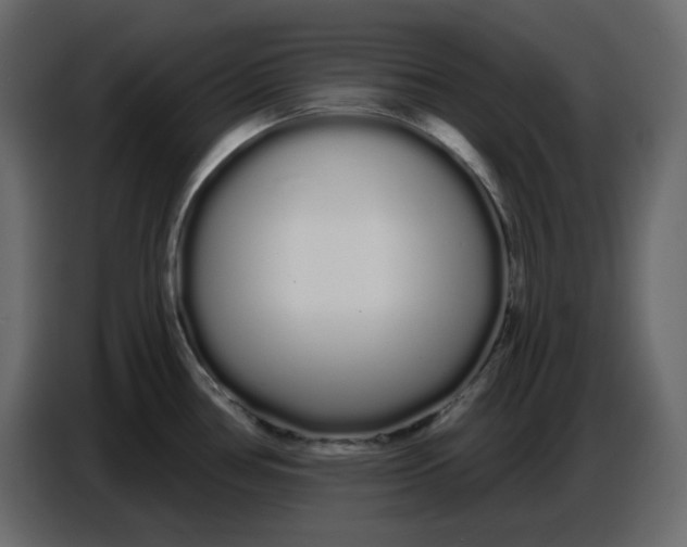 X0000086781386200705041519