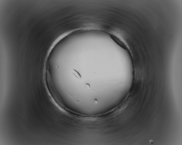 X0000086781387200705041519