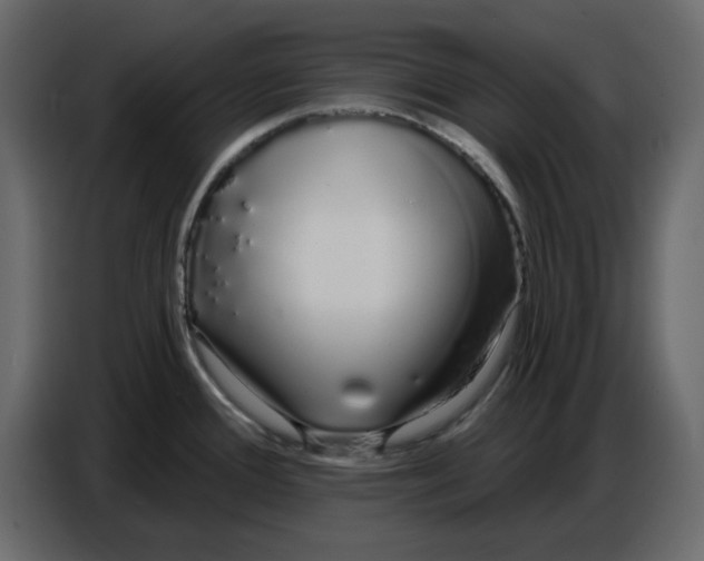 X0000086781388200705041519