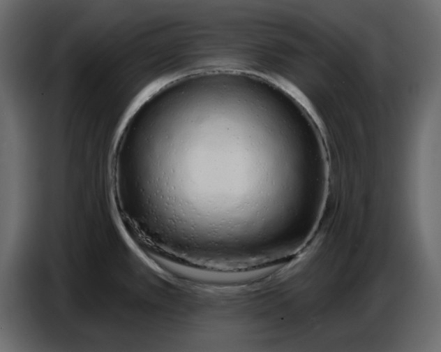 X0000086781389200705041519