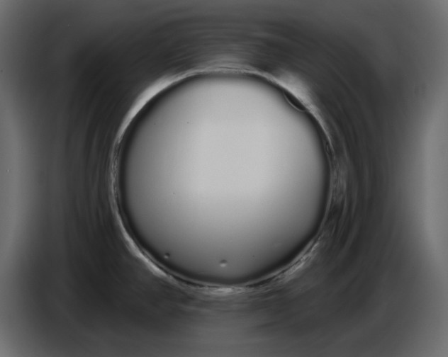 X0000086781390200705041519