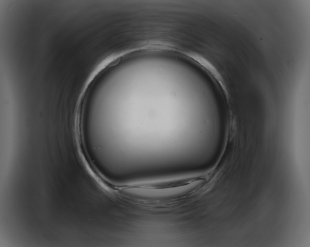 X0000086781391200705041519