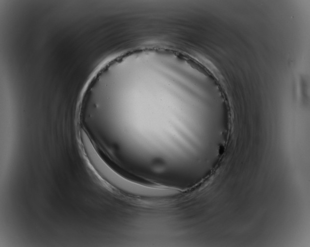 X0000086781392200705041519