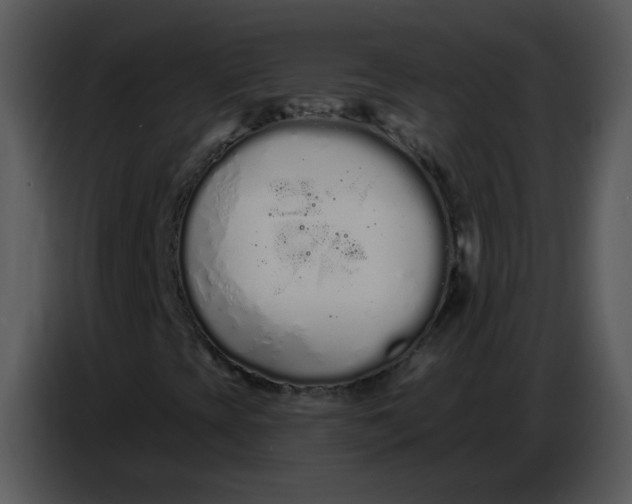 X0000086781393200705041519