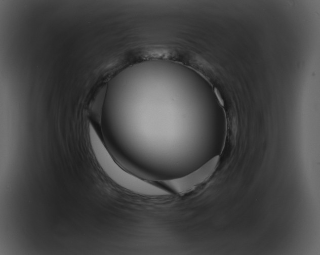 X0000086781394200705041519