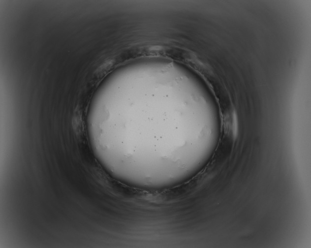 X0000086781395200705041519