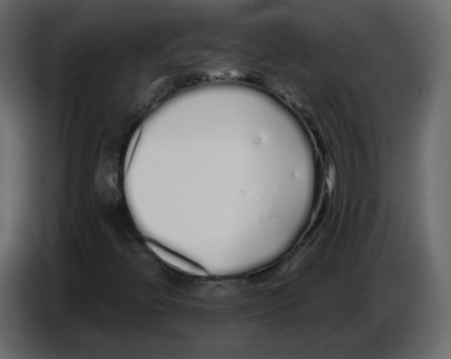 X0000086781396200705041519