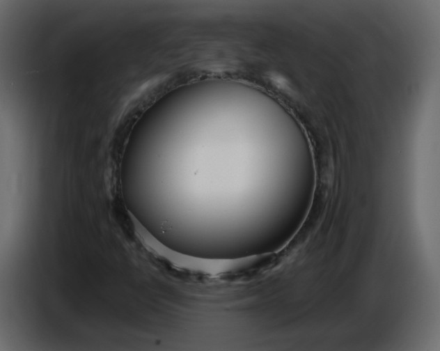 X0000086781398200705041519