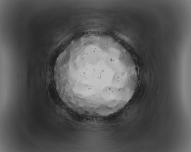 X0000086781399200705041519