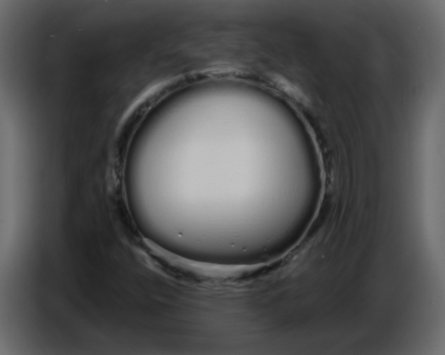 X0000086781400200705041519