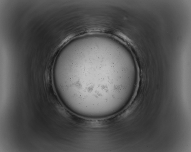 X0000086781401200705041519