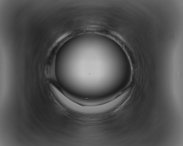 X0000086781402200705041519