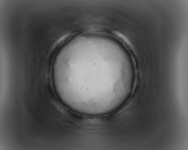 X0000086781403200705041519