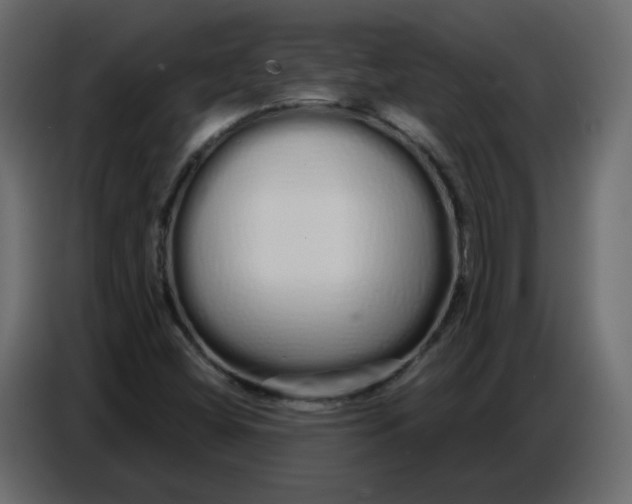 X0000086781404200705041519