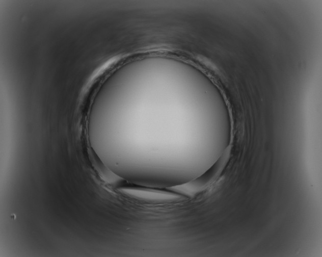 X0000086781406200705041519