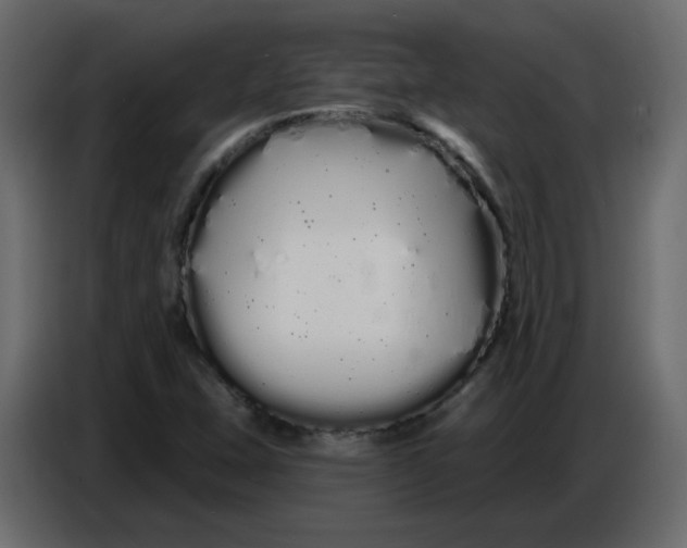 X0000086781407200705041519