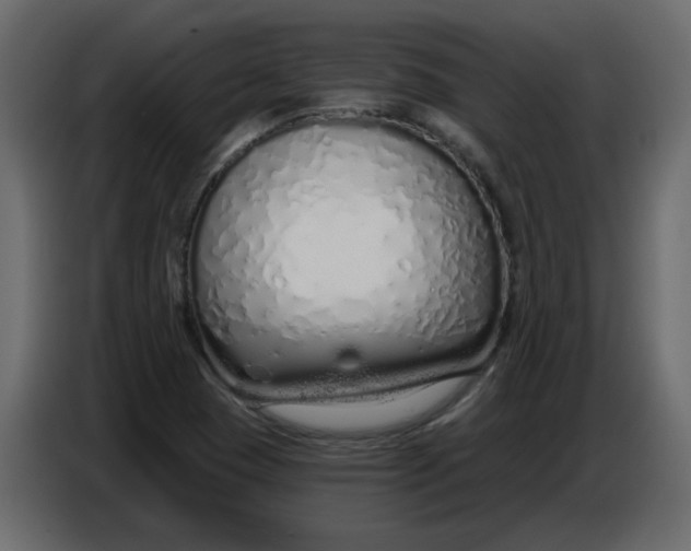 X0000086781409200705041519