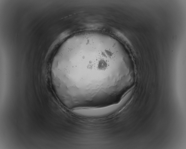 X0000086781411200705041519