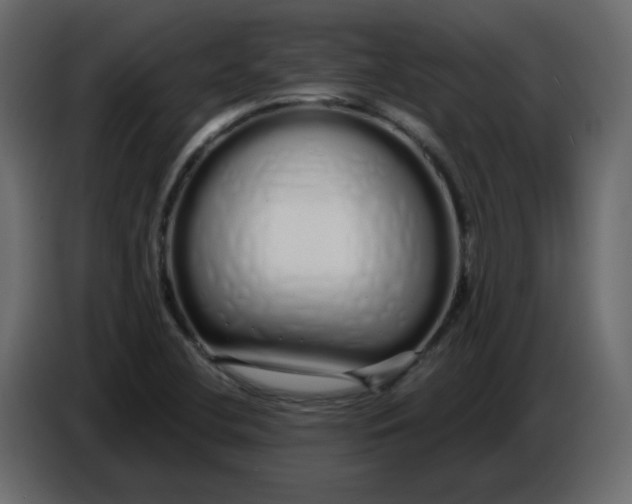 X0000086781412200705041519