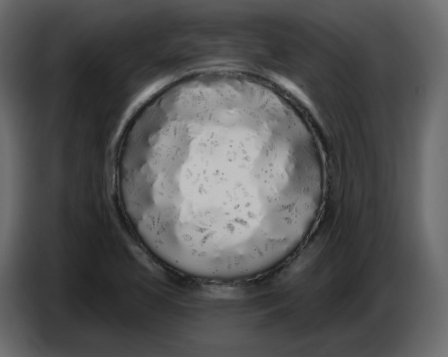 X0000086781413200705041519