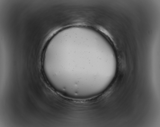 X0000086781415200705041519