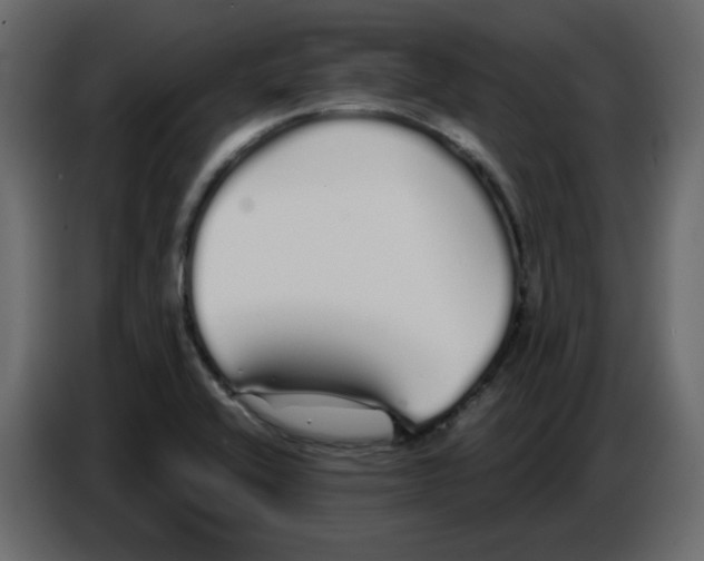 X0000086781416200705041519