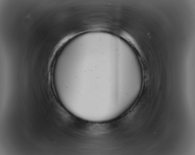 X0000086781419200705041519