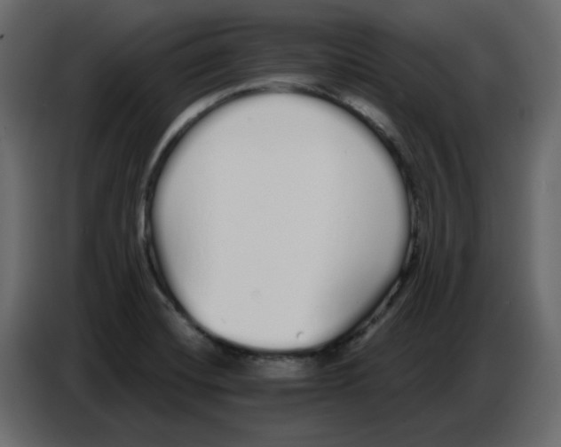 X0000086781420200705041519