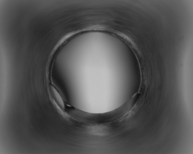 X0000086781422200705041519