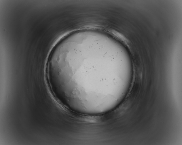 X0000086781423200705041519